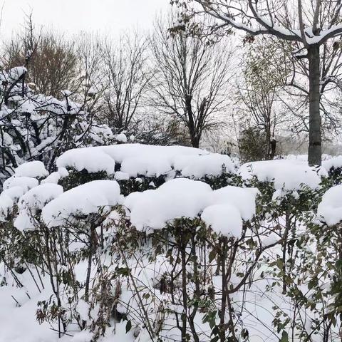 我心目的雪景