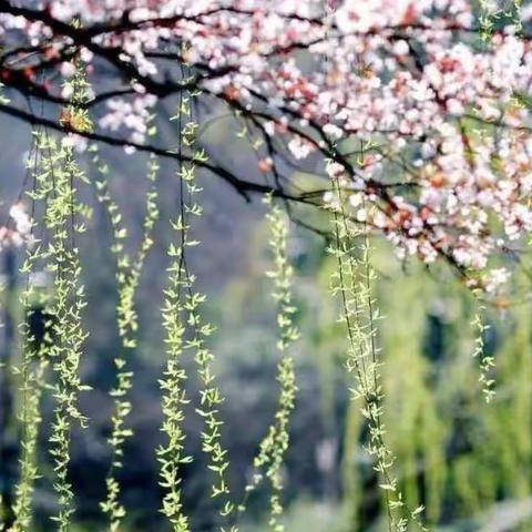 停课不停学，我们在行动———相公中心小学一.1班