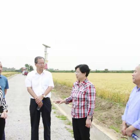 市人大常委会视察我市粮食生产和耕地保护工作