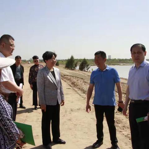 市人大常委会视察我市全域治水工作情况