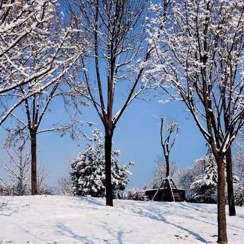 春雪    富民