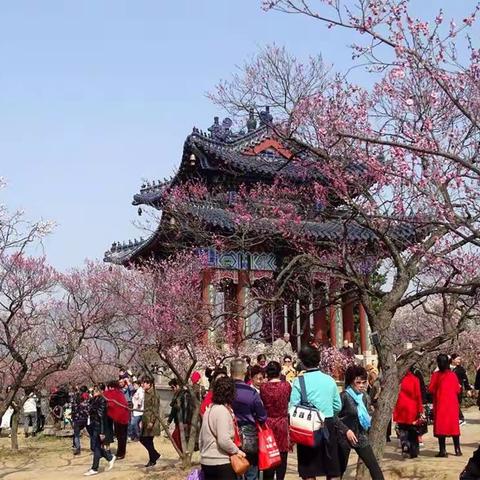 《摄影一家人》摄友乐游梅花山