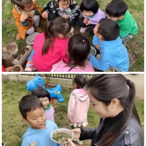 复幼中一班：面条探索记