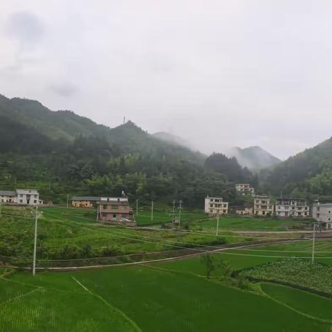 桂东避暑｜桂竹山庄—逃离火炉，就去桂竹