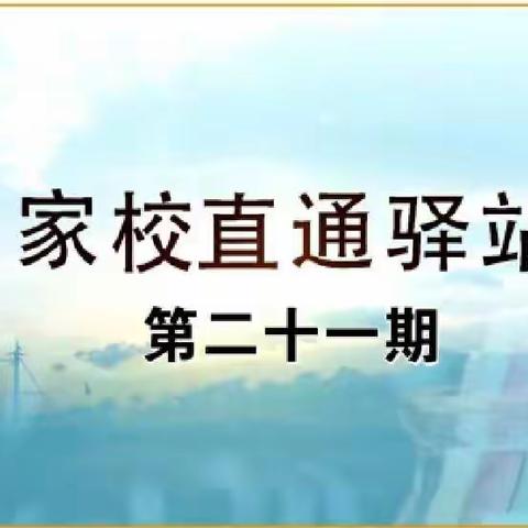 《双减”政策之下，家长怎样做好家庭教育（下）》