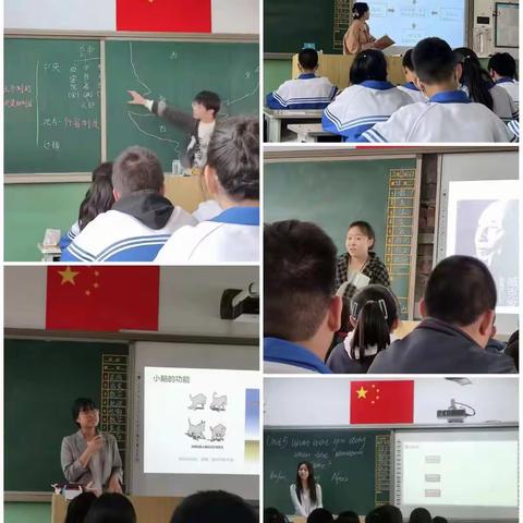 名师指导领航向   新秀创新迎风浪