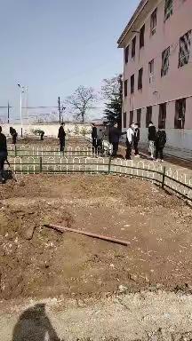 青青菜园，放飞快乐——阳坡初中师生劳动实践活动