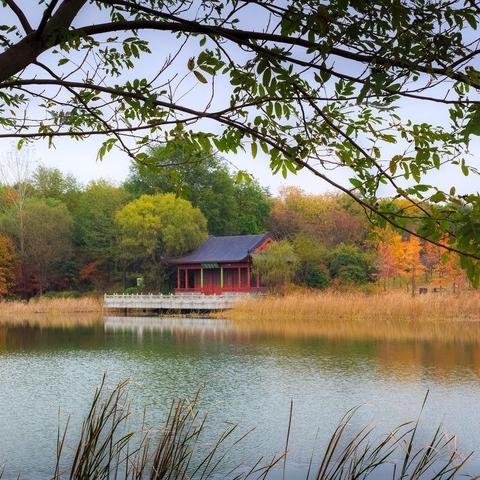 前湖·定向游记