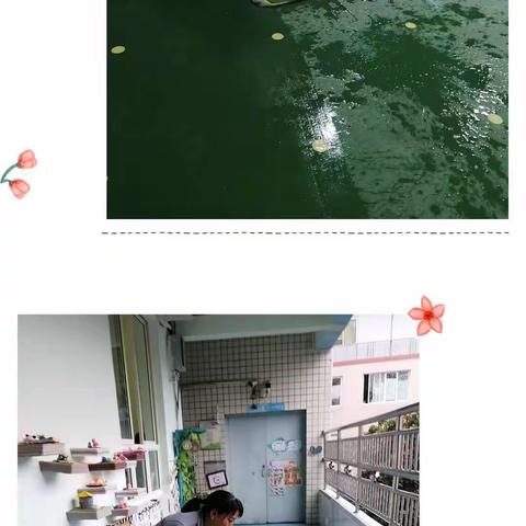 用心呵护 安全至夏 ——记正安县机关幼儿园卫生消毒工作