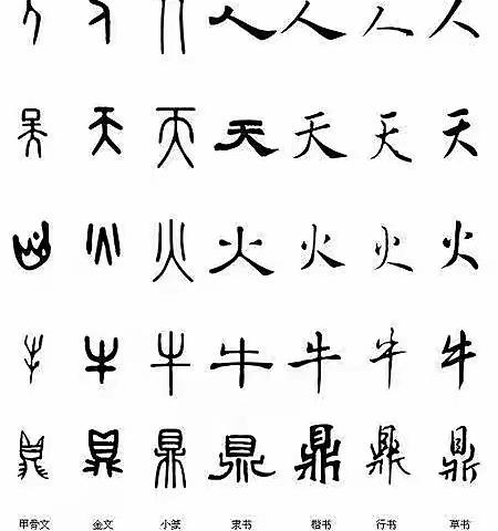 啄木鸟纠错活动——东环小学2003班活动实践