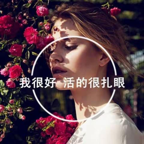 避风港