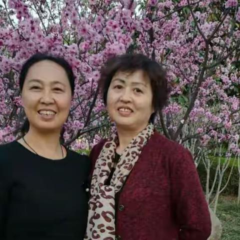 姐妹花