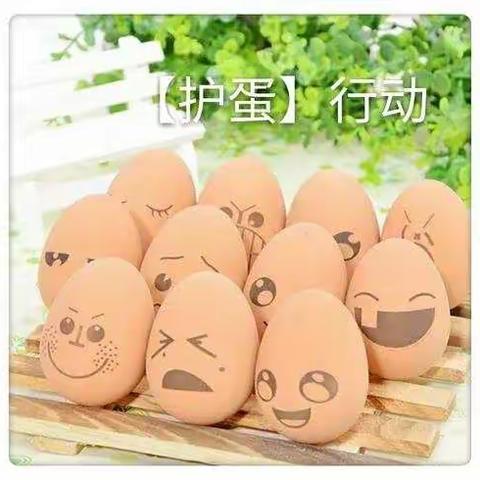 王辇庄幼儿园大班感恩节护蛋行动