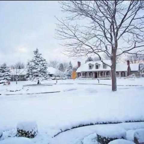 12月与雪如期而至