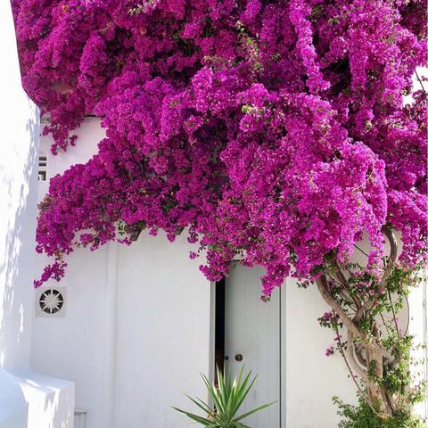 四季酒店&秋季会员餐厅