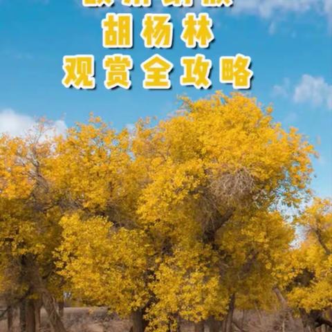 我想出去走走看看