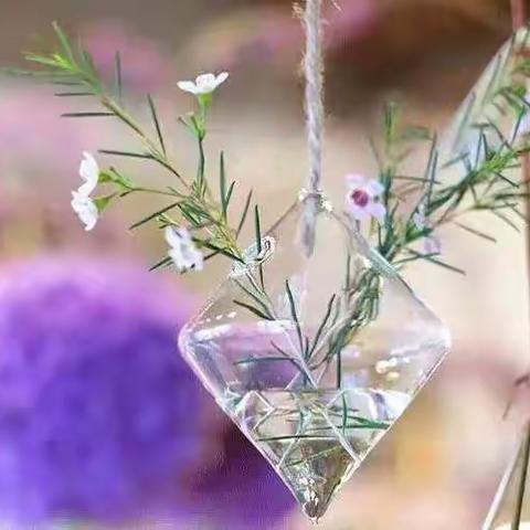 我相信，植物可以治愈人心！