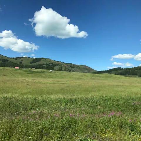 有一种旅行叫：我愿意在这里发呆一辈子