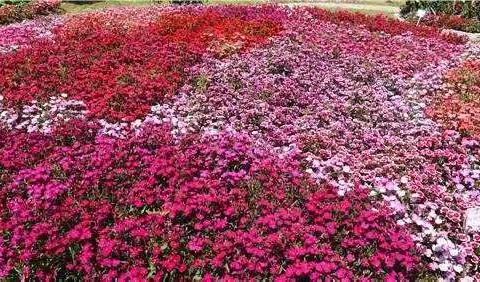 我们的第一个案主