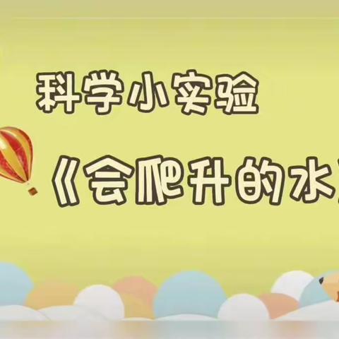 相聚云端，爱在摇篮！——66325部队幼儿园中班居家亲子活动（第十期）