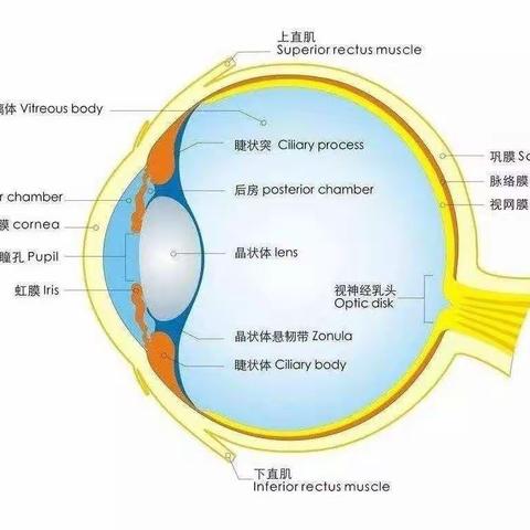 爱眼护眼，保护“视”界——五家渠第一幼儿园大三班