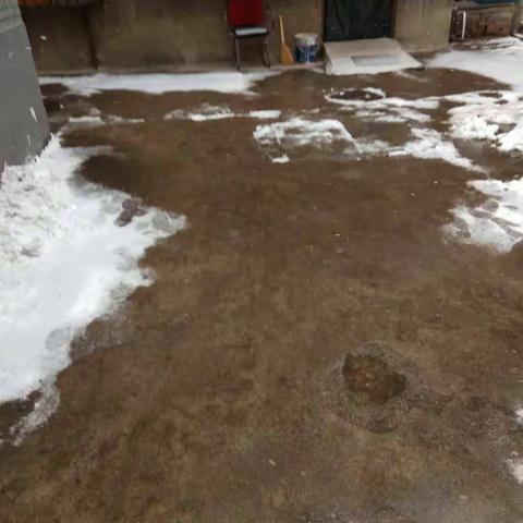 【长乐坊街道环东社区】清理搪瓷厂积雪情况