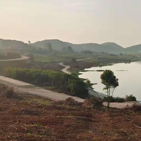 大松山水库（之二）