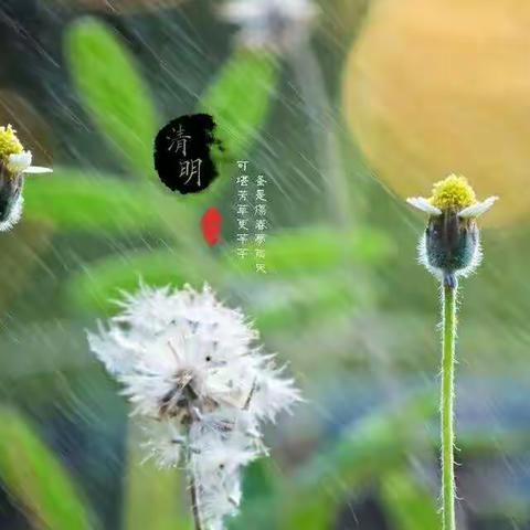 清明节放假通知