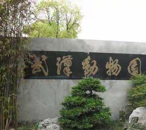 2019快乐春游、向日葵陪伴