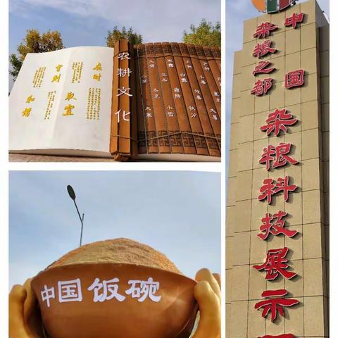 【附中学子这样过国庆】杂粮文化——忻州师范学院附属中学初一11班孙苗圃﻿2022年国庆假期实践活动小记