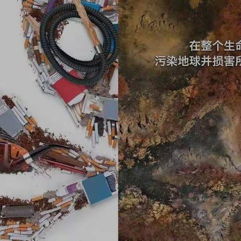 “世界无烟，欢乐无边”                             赞善社区服务中心开展世界第35个世界无烟日宣传活动