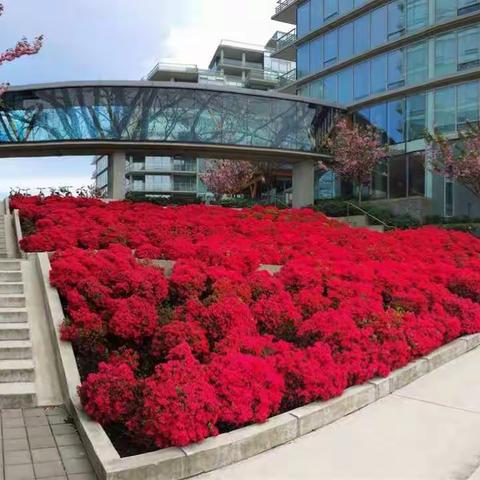 【River Green】1房1卫1Den新盘上市