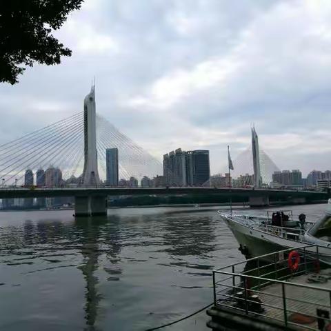 重阳节 游珠江