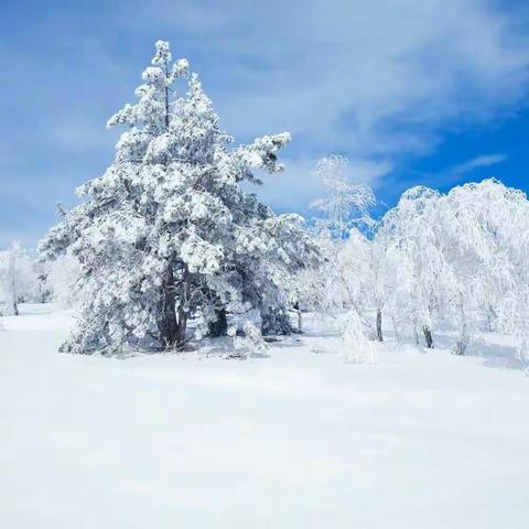 瑞雪兆丰年