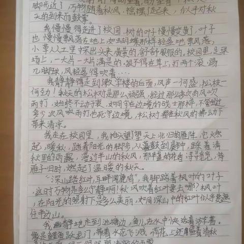 小宇的美篇