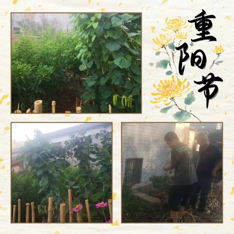 重阳节