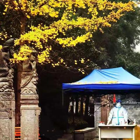 华府项目十一月工作简报