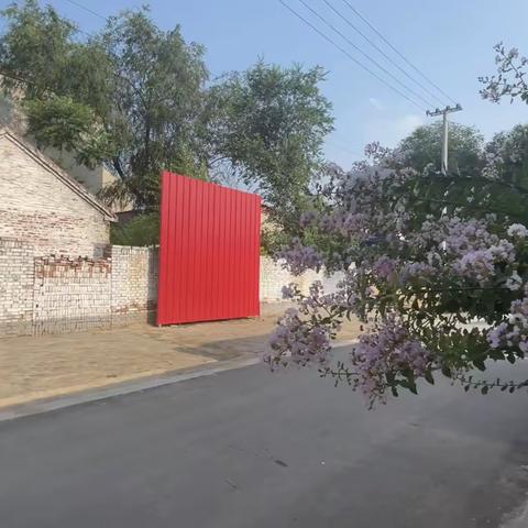 大兴庄镇美丽庭院展播