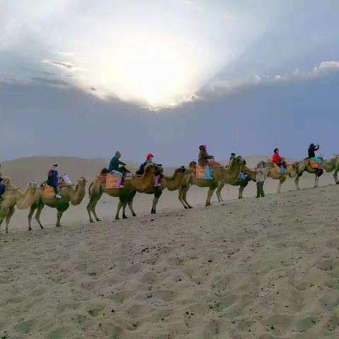 去大西北，给心灵放个假(6)