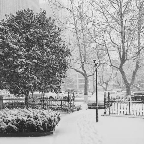 工商银行即墨支行营业部----雪后初晴扫雪行，温暖客心不能停