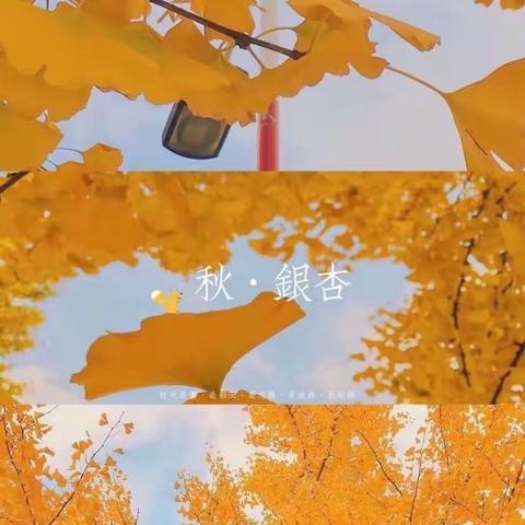 大河背幼儿园2021年秋“热爱家乡、亲近自然、拥抱秋天”远足主题活动