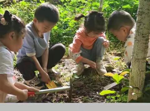 “体验生活，快乐成长”🌟智慧星幼儿园大大班五一劳动节美篇