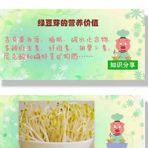 实践体验，乐分享——怀仁十小四年级全体师生，学发豆芽🌱感受生命的力量