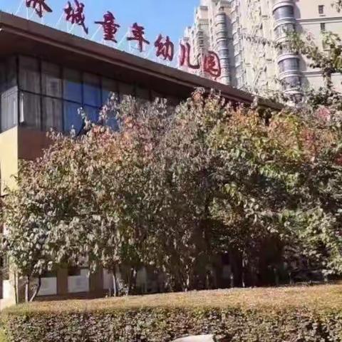 “种下快乐、见证成长”——冰城童年幼儿园种植大蒜🧄活动