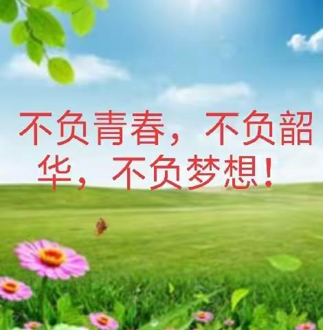 不负青春，不负韶华，不负梦想！——北坡镇中心小学青年教师教学探研交流会