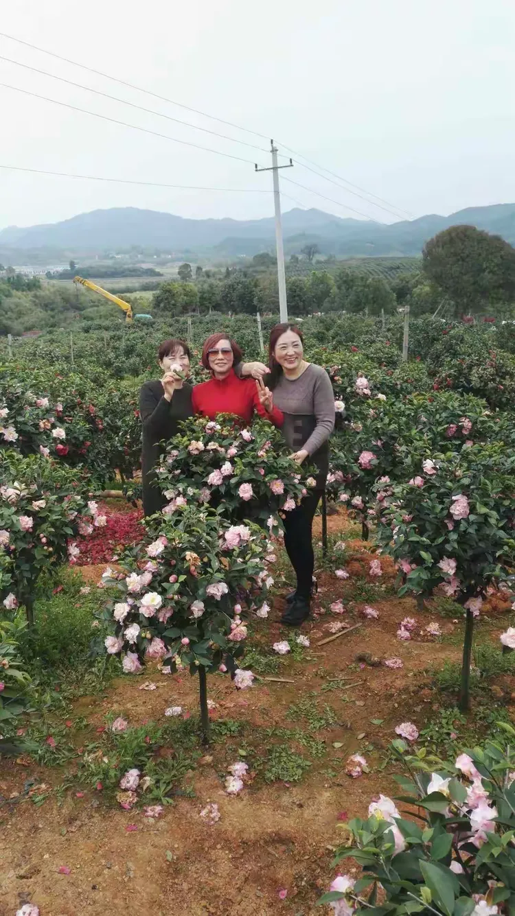婺源德兴招聘信息网站_婺源德兴招聘信息网站官网