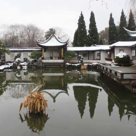 雪后游东郊