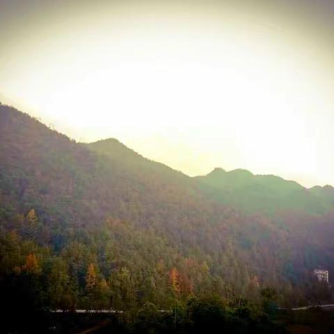 《诗意人家》之家乡印象