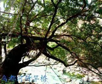 影且留住 *乌都河上“竹杆桥”