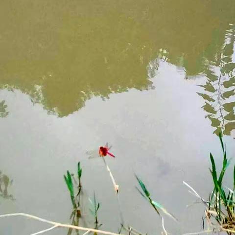 《诗意人家》之盘江神韵